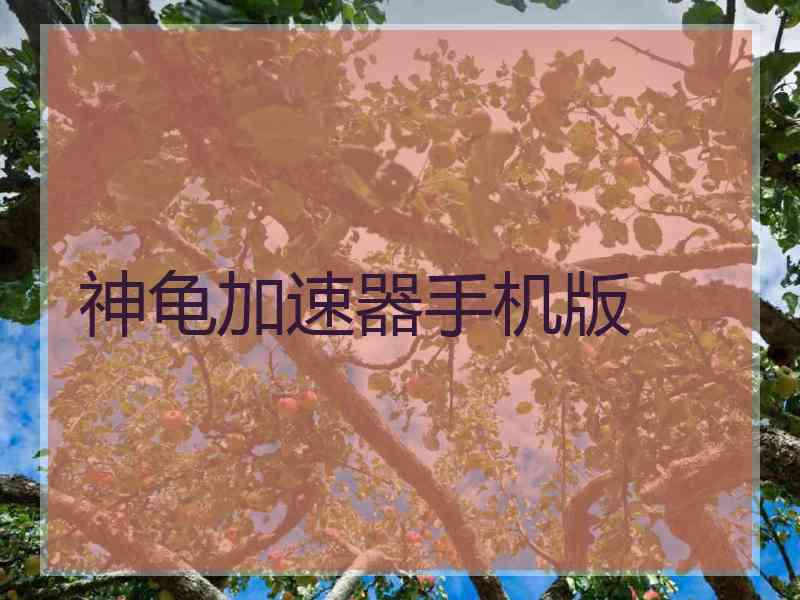 神龟加速器手机版