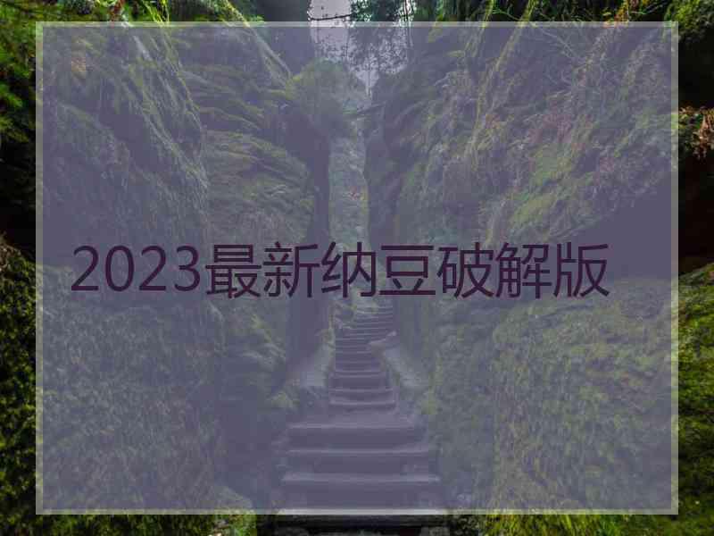 2023最新纳豆破解版
