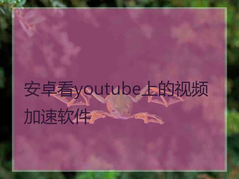 安卓看youtube上的视频加速软件